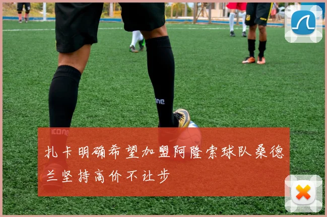 扎卡明确希望加盟阿隆索球队桑德兰坚持高价不让步