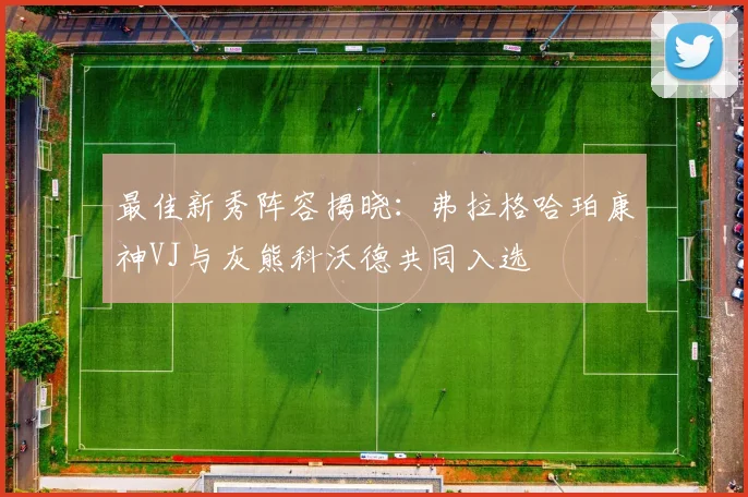 最佳新秀阵容揭晓：弗拉格哈珀康神VJ与灰熊科沃德共同入选